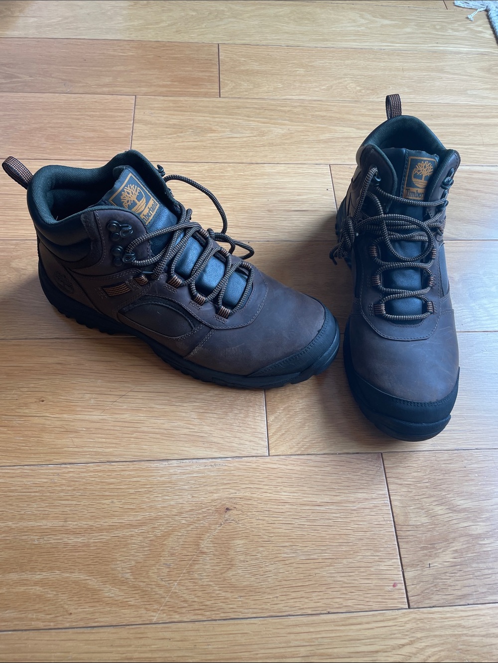 Timberland Brown Lace-Up Men's Outdoor Boots Mt Major A1RC2